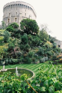 Processed with VSCO with g3 preset