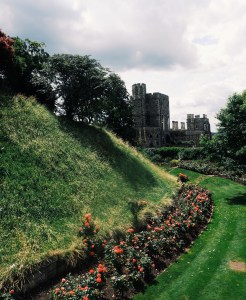 Processed with VSCO with g3 preset