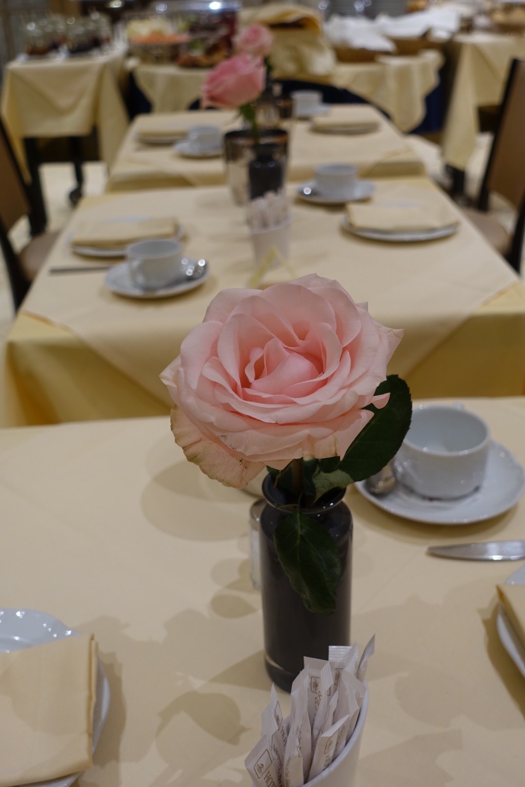 Hotel an der&nbsp;Oper