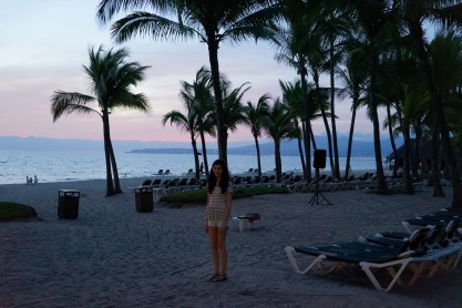 Puerto Vallarta 2014-25.jpeg