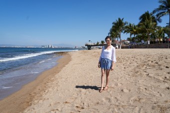 Puerto Vallarta 2018 151.jpg