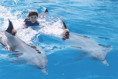 Screen Shot 2018-11-14 at 1.49.31 PM.png